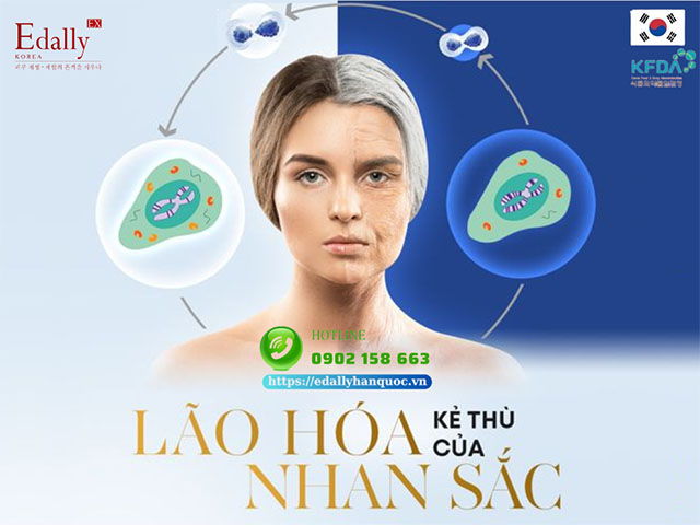 Lão hóa da chính là kẻ thù của nhan sắc mà các chị em đều sợ hãi