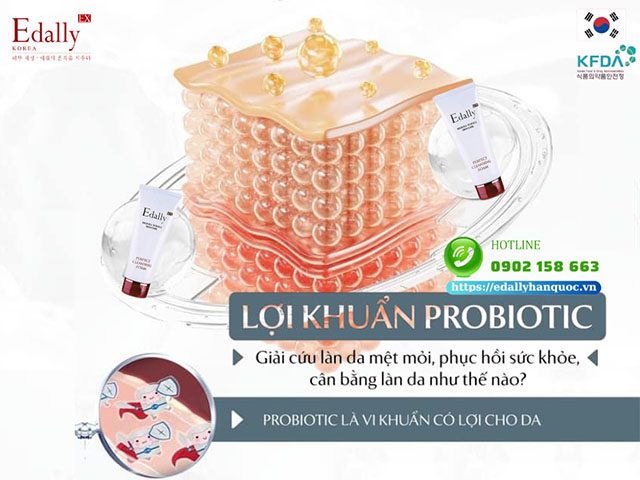 Lợi khuẩn probiotics giải cứu làn da mệt mỏi, phục hồi sức khỏe, cân bằng da như thế nào?