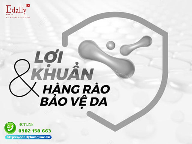 Lợi khuẩn và vai trò của chúng đối với hàng rào bảo vệ da