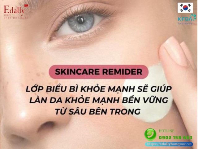 Lớp biểu bì của da chắc chắn, khỏe mạnh sẽ giúp làn da khỏe mạnh bền vững từ bên trong