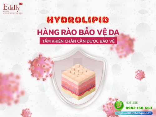 Hydrolipid - Lớp Màng Bảo Vệ Quan Trọng Của Làn Da