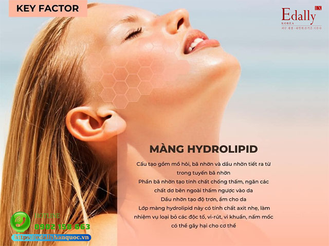 Lớp Màng Hydrolipid - Tấm Khiên Của Làn Da 