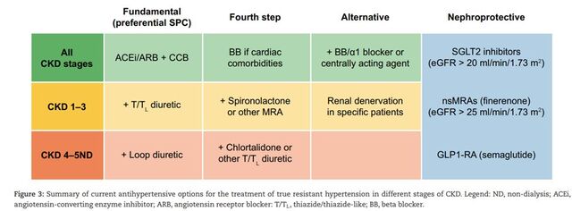 Cách lựa chọn thuốc điều trị tăng huyết áp kháng trị theo từng giai đoạn bệnh thận mạn Cách lựa chọn thuốc điều trị tăng huyết áp kháng trị theo từng giai đoạn bệnh thận mạn
