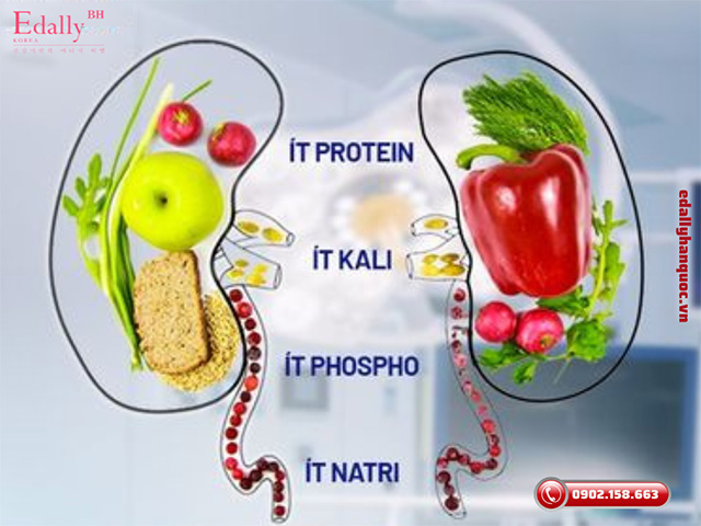 Lưu ý thực đơn và chế độ dinh dưỡng khi chăm sóc bệnh nhận chạy thận nhân tạo chu kỳ