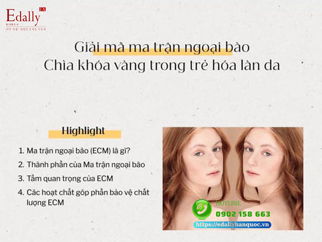 Giải mã ma trận ngoại bào - Chìa khóa vàng trong trẻ hóa làn da