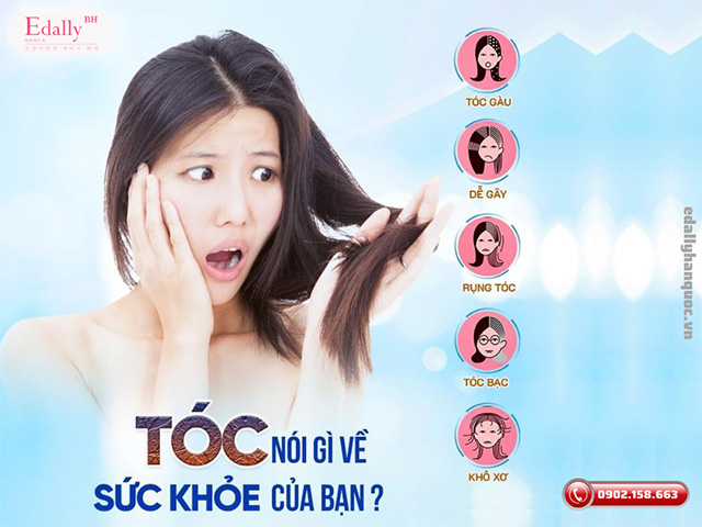 Tóc Nói Gì Về Sức Khỏe Của Bạn?