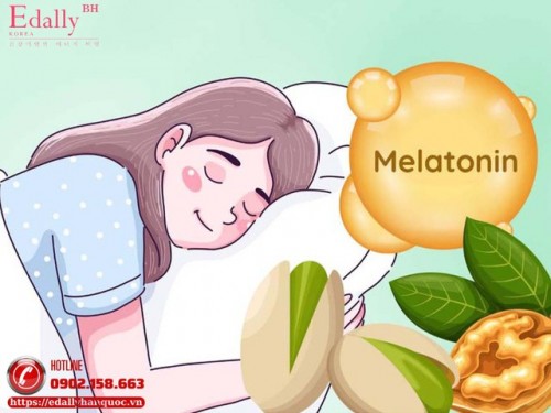 Melatonin Và Một Số Điều Cần Biết
