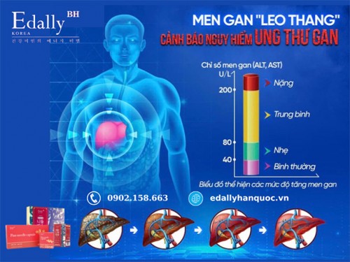 Men Gan Tăng Cao Có Nguy Hiểm Không?