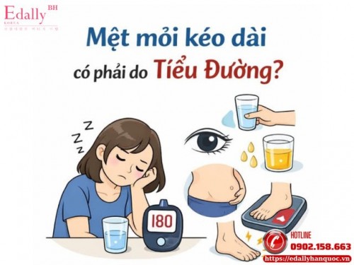 Mệt Mỏi Kéo Dài Có Phải Do Bệnh Tiểu Đường?