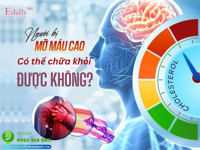 Mỡ máu cao có thể chữa khỏi được không và các phương pháp điều trị hiện nay?