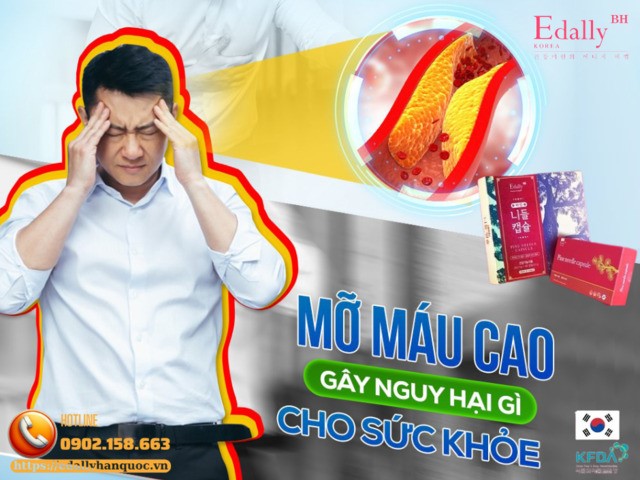 Bệnh mỡ máu cao gây hại gì cho sức khỏe?