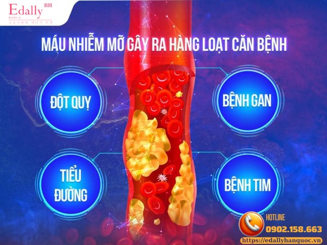 Mỡ máu cao gây ra hàng loạt các bệnh lý nguy hiểm cho cơ thể