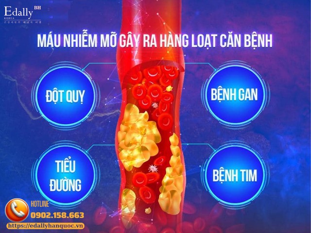 Mỡ máu cao gây ra hàng loạt các biến chứng nguy hiểm