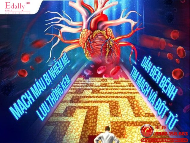 Mỡ máu là gì mà vì sao ngày càng nhiều người Việt mắc phải?