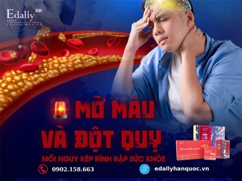 Mỡ Máu Cao Và Đột Quỵ - Mối Nguy Kép Rình Rập Sức Khỏe