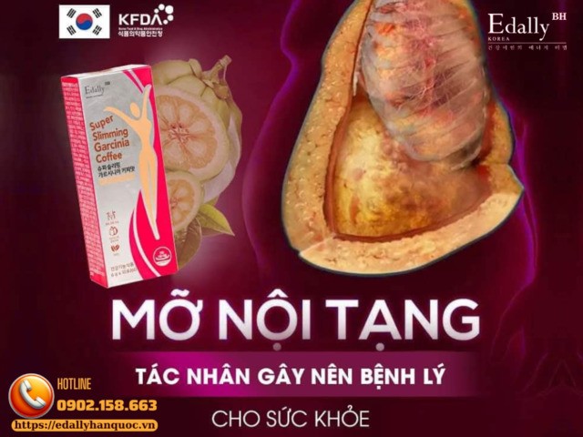 Mỡ nội tạng giết chết cơ thể nhanh hơn bạn nghĩ