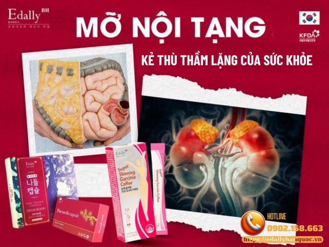 Mỡ nội tạng - kẻ thù thầm lặng nhưng nguy hiểm của sức khỏe con người