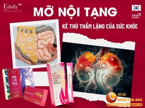 Mỡ Nội Tạng - Kẻ Thù Thầm Lặng Của Sức Khỏe Con Người Mỡ Nội Tạng - Kẻ Thù Thầm Lặng Của Sức Khỏe Con Người