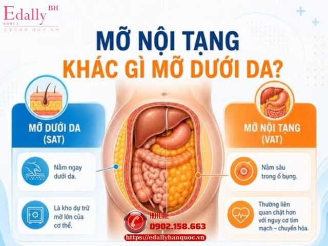 Mỡ nội tạng khác gì mỡ dưới da?