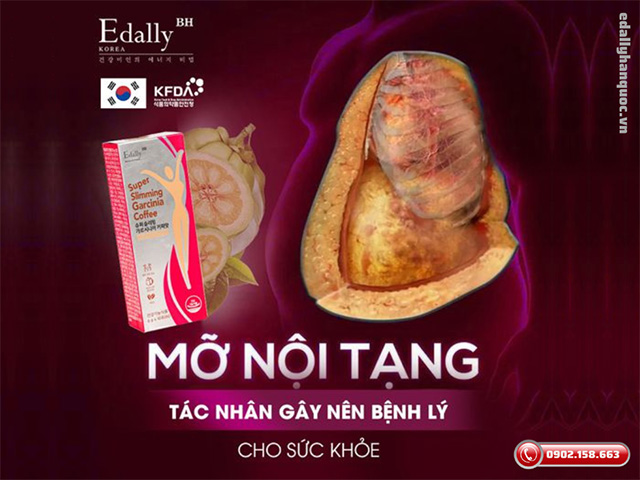 Mỡ nội tạng - Tác nhân gây nên nhiều bệnh lý nguy hiểm cho cơ thể