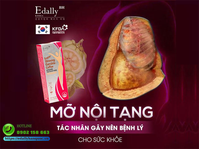 Mỡ nội tạng trong cơ thể là tác nhân gây ra nhiều bệnh lý nguy hiểm