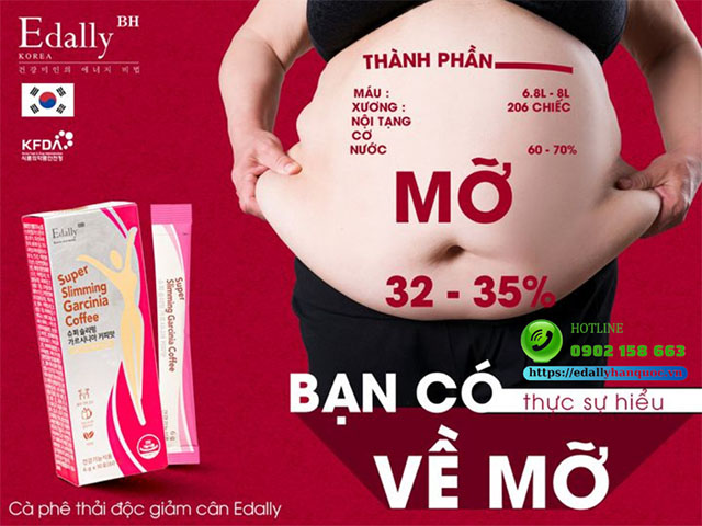 Bạn đã thực sự hiểu về các loại mỡ trong cơ thể và tác hại của mỡ với sức khỏe?