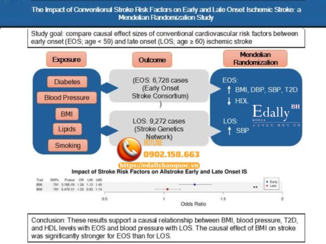 Mối liên quan giữa các yếu tố nguy cơ tim mạch và đột quỵ thiếu máu não, đặc biệt là đột quỵ khởi phát sớm (EOS: < 59 tuổi) và khởi phát muộn (LOS: ≥ 60 tuổi)