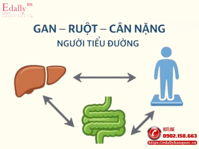 Mối Liên Hệ Giữa Gan - Ruột - Cân Nặng Ở Người Tiểu Đường