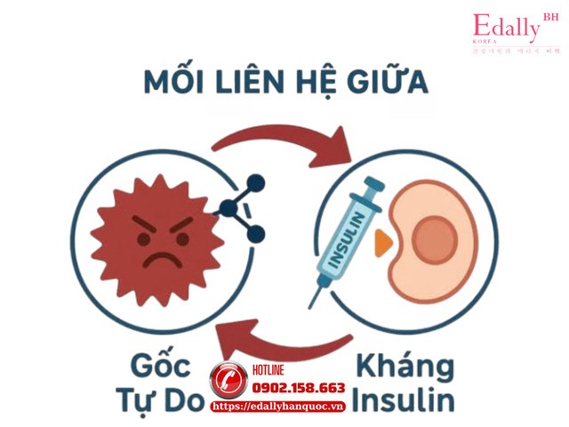 Cùng tìm hiểu nguyên nhân và mối liên hệ giữa gốc tự do và kháng insulin Cùng tìm hiểu nguyên nhân và mối liên hệ giữa gốc tự do và kháng insulin