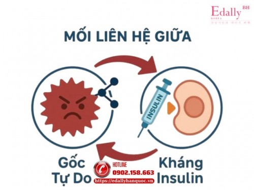 Mối Liên Hệ Giữa Gốc Tự Do Và Kháng Insulin