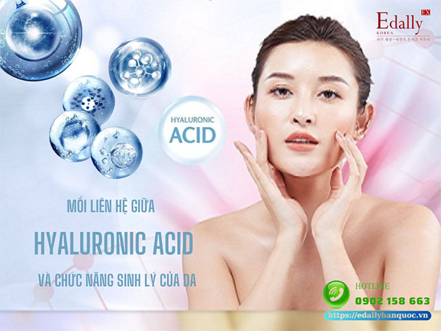 Mối liên hệ giữa Hyaluronic Acid (HA) và chức năng sinh lý của làn da