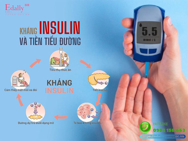 Kháng insulin và tiền tiểu đường có mối liên hệ như thế nào?