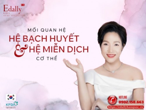 Hệ Bạch Huyết Khỏe - Chìa Khóa Cho Hàng Rào Miễn Dịch Khỏe Mạnh