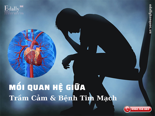 Mối quan hệ giữa trầm cảm và bệnh lý tim mạch