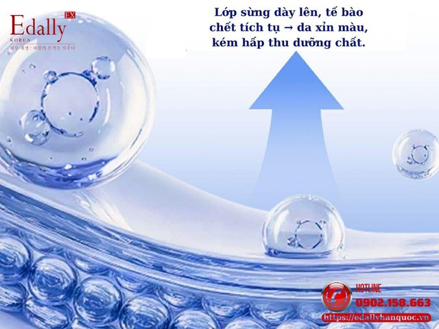 Mùa hanh khô là thời điểm da dễ lão hoá nhanh nhất do lớp sừng dày lên, tế bào da chết tích tụ khiến da xỉn màu, kém hấp thu dưỡng chất