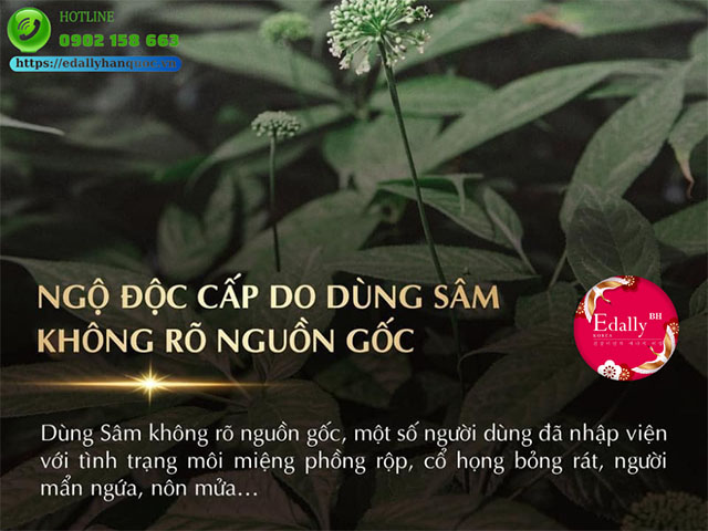 Sử dụng Nhân sâm giả gây ngộ độc cấp