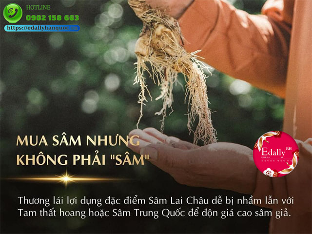 Mua Nhân sâm Hàn Quốc nhưng không phải sâm