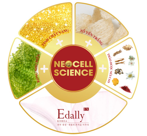 Mỹ phẩm Hàn Quốc Edally EX được chiết xuất từ những thành phần thiên nhiên quý hiếm kết hợp cùng công nghệ Neocell Science