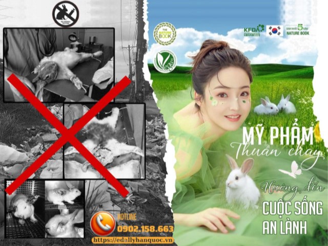Vì sao thí nghiệm mỹ phẩm trên động vật vẫn tồn tại? có thực sự cần thí nghiệm trên động vật không?
