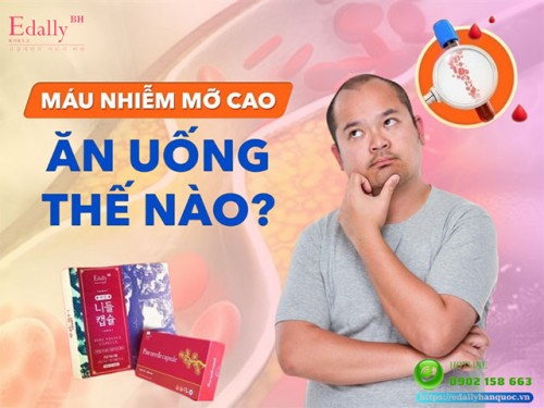 Bị Máu Nhiễm Mỡ Nên Ăn Uống Như Thế Nào?