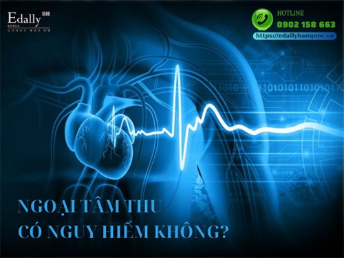 Ngoại Tâm Thu Có Nguy Hiểm Không?