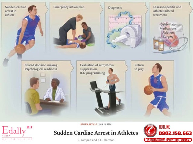 Ngừng tim ở người chơi thể thao là một thảm kịch hiếm nhưng có quy luật