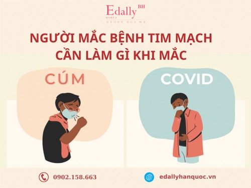 Người Mắc Bệnh Tim Mạch Cần Làm Gì Khi Mắc Covid-19 Và Cúm?