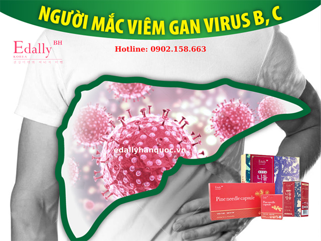 Người mắc viêm gan virus B, viêm gan virus C có nguy cơ cao mắc bệnh xơ gan