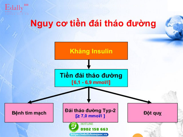 Nguy cơ tiền tiểu đường do kháng insulin