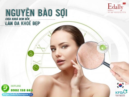 Nguyên Bào Sợi - Cuộc Cách Mạng Trong Tái Cấu Trúc Da, Phục Hồi, Trẻ Hóa Da Và Điều Trị Sẹo