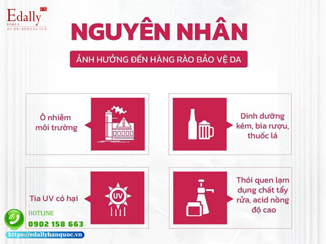 Nguyên nhân ảnh hưởng đến hàng rào bảo vệ da