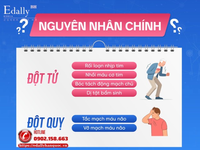 Bị đột tử và đột quỵ nguyên nhân do đâu?