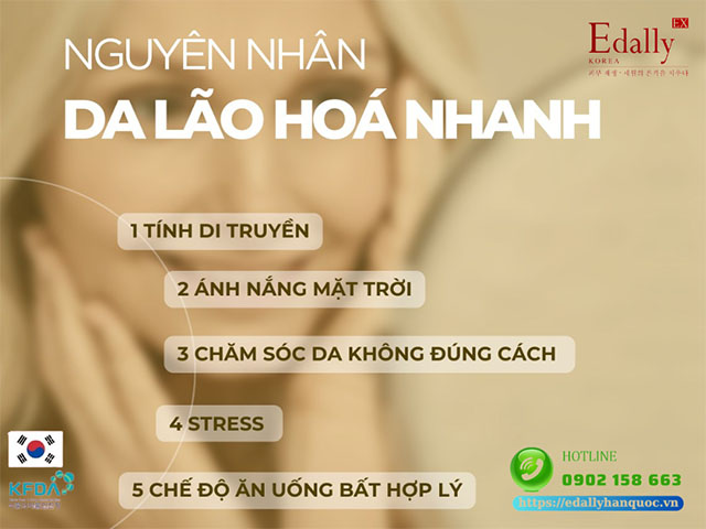 Những nguyên nhân khiến da lão hóa nhanh