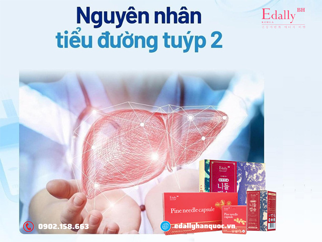 Bị mắc bệnh tiểu đường Type 2 do đâu?